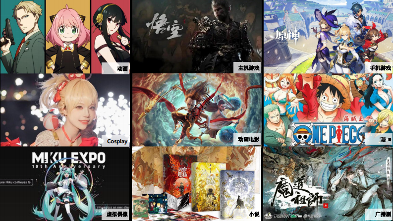 2025二次元生态白皮书 第5页