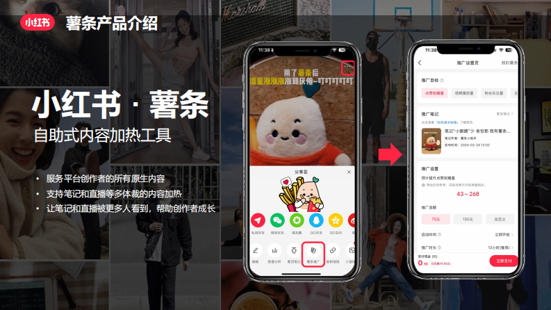2025年小红书薯条加热工具产品介绍 第4页
