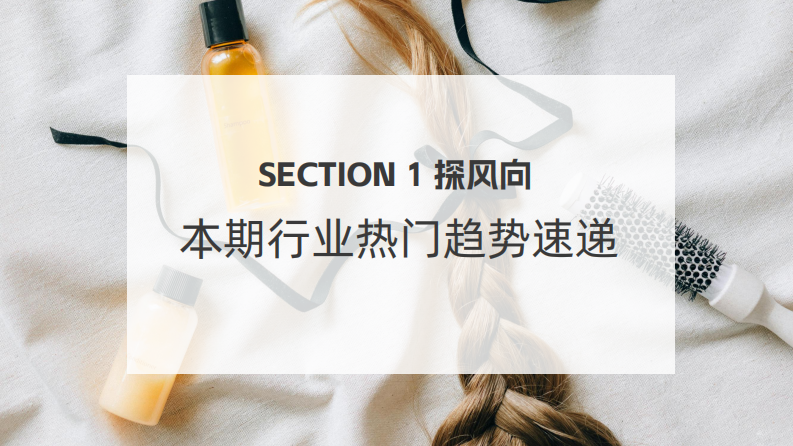 美发护发抖音电商策略报告 第4页