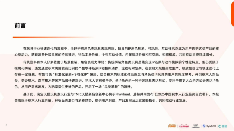 2025中国积木人行业趋势白皮书 第2页