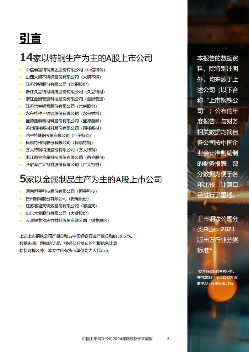 中国上市钢铁公司2024年回顾及未来展望 第3页