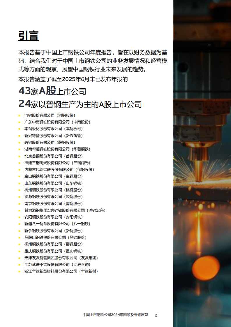 中国上市钢铁公司2024年回顾及未来展望 第2页