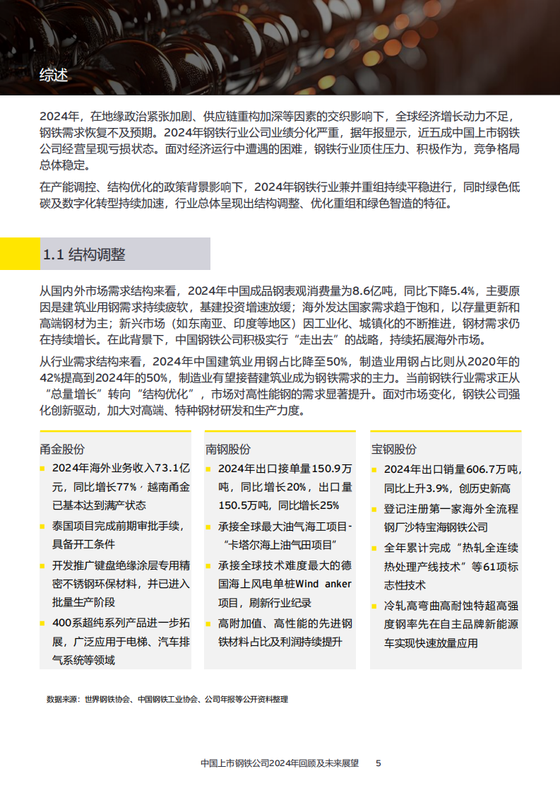 中国上市钢铁公司2024年回顾及未来展望 第5页
