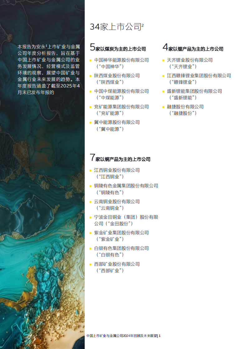 中国上市矿业与金属公司2024年回顾及未来展望报告 第2页