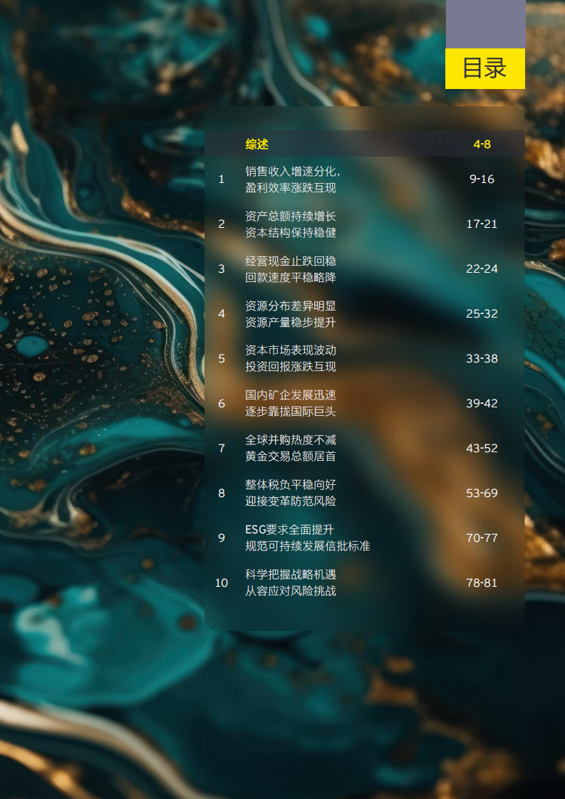 中国上市矿业与金属公司2024年回顾及未来展望报告 第4页