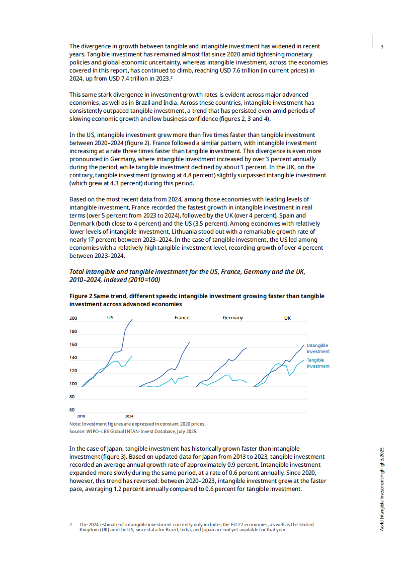 2025年全球无形资产投资趋势报告（英文） 第3页