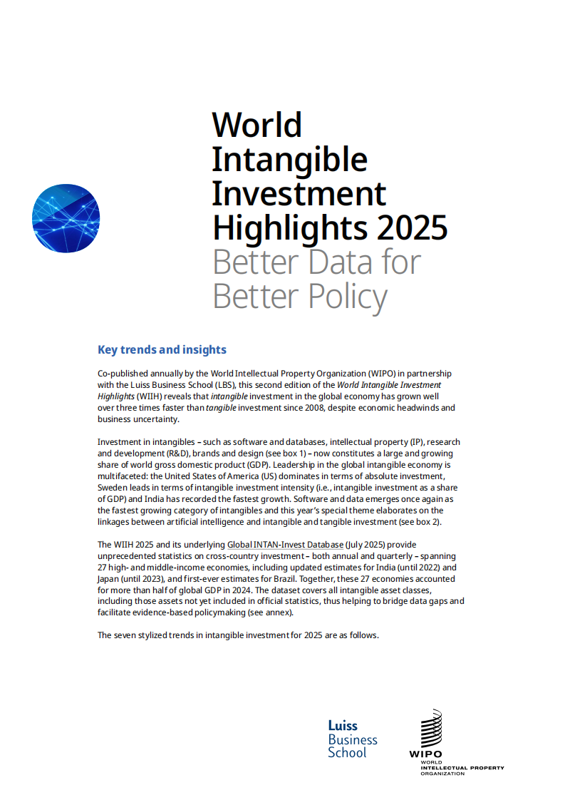 2025年全球无形资产投资趋势报告（英文） 第1页