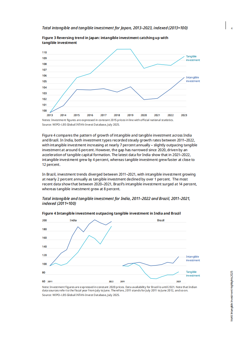 2025年全球无形资产投资趋势报告（英文） 第4页