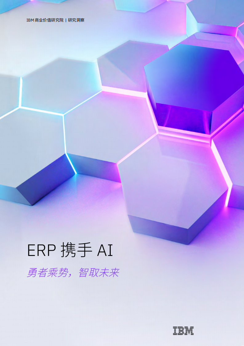 2025年ERP携手AI报告-勇者乘势，智取未来 第1页
