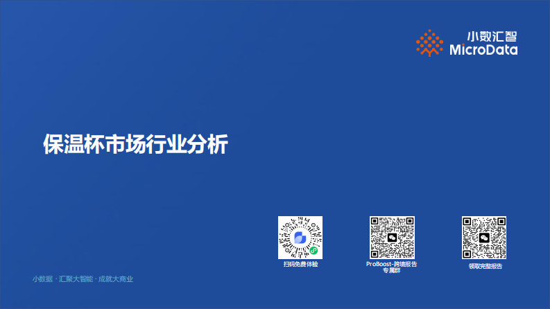 保温杯行业分析报告 第1页