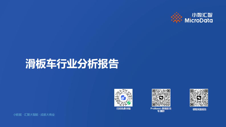 滑板车行业分析报告 第1页