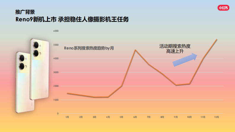 oppo小红书推广方案 第2页