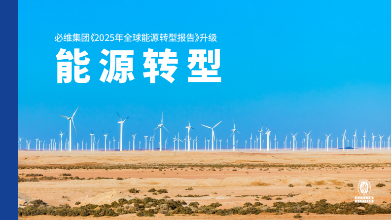 2025年全球能源转型报告 第1页