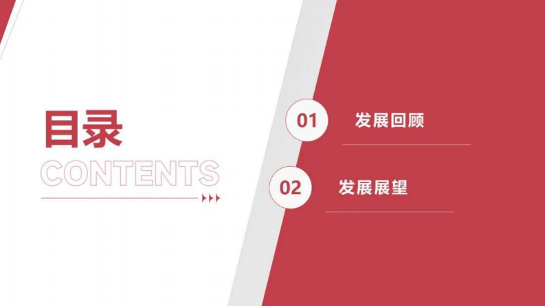 2025年光伏行业上半年发展回顾与下半年形势展望 第2页