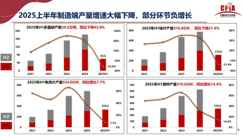 2025年光伏行业上半年发展回顾与下半年形势展望 第5页
