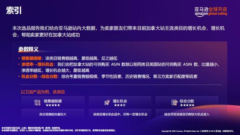 2025年亚马逊加拿大站点热卖趋势及机会选品报告 第3页
