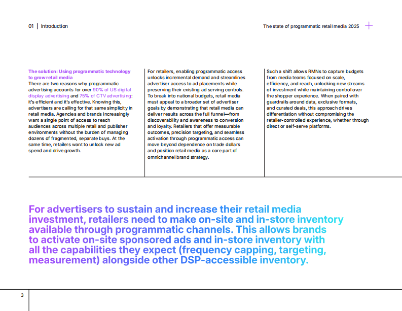 2025年零售媒体程序化购买报告（英文） 第4页
