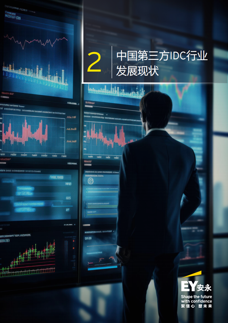 2025年中国第三方IDC行业财务数据回顾及未来展望报告 第5页