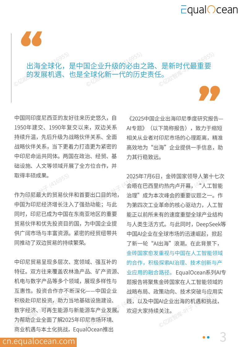 2025中国AI企业出海系列研究：印尼篇 第3页