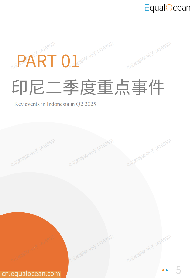 2025中国AI企业出海系列研究：印尼篇 第5页
