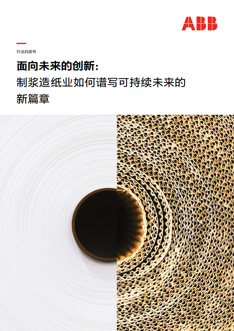 2025年面向未来的创新：制浆造纸业如何谱写可持续未来的新篇章白皮书 第1页