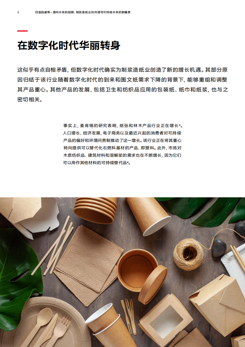2025年面向未来的创新：制浆造纸业如何谱写可持续未来的新篇章白皮书 第5页