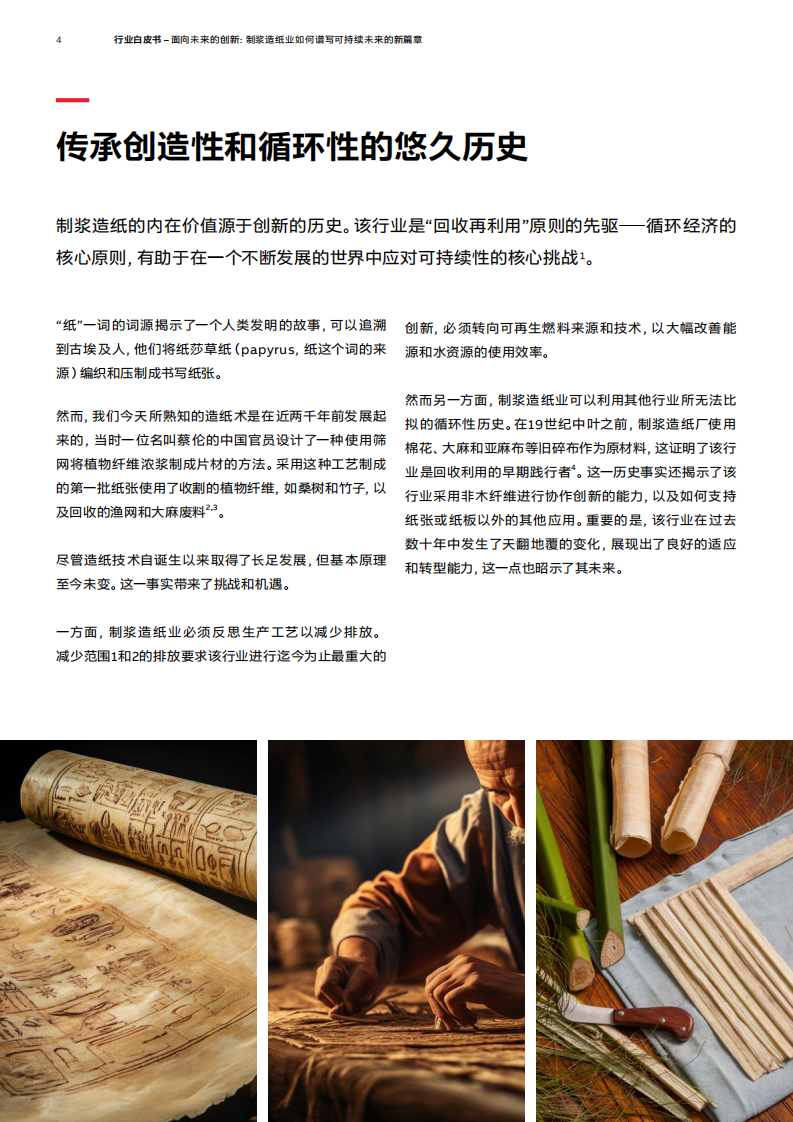 2025年面向未来的创新：制浆造纸业如何谱写可持续未来的新篇章白皮书 第4页