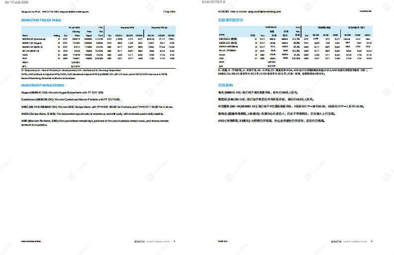 2025年中国人工智能：评估中国人工智能芯片的供需情况报告 第2页