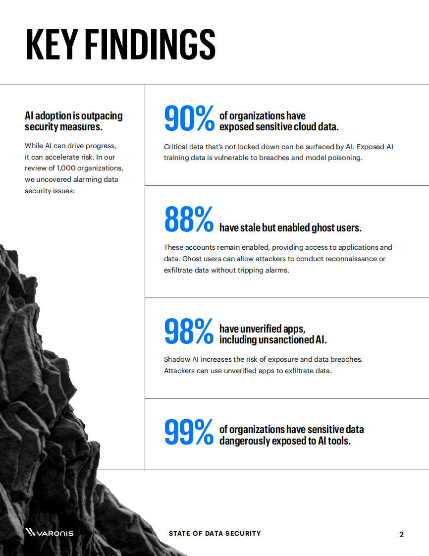 2025年数据安全状况报告：量化人工智能对数据风险的影响（英文） 第2页