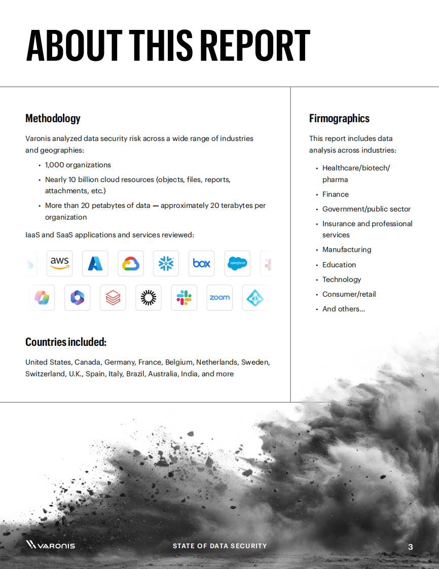 2025年数据安全状况报告：量化人工智能对数据风险的影响（英文） 第3页
