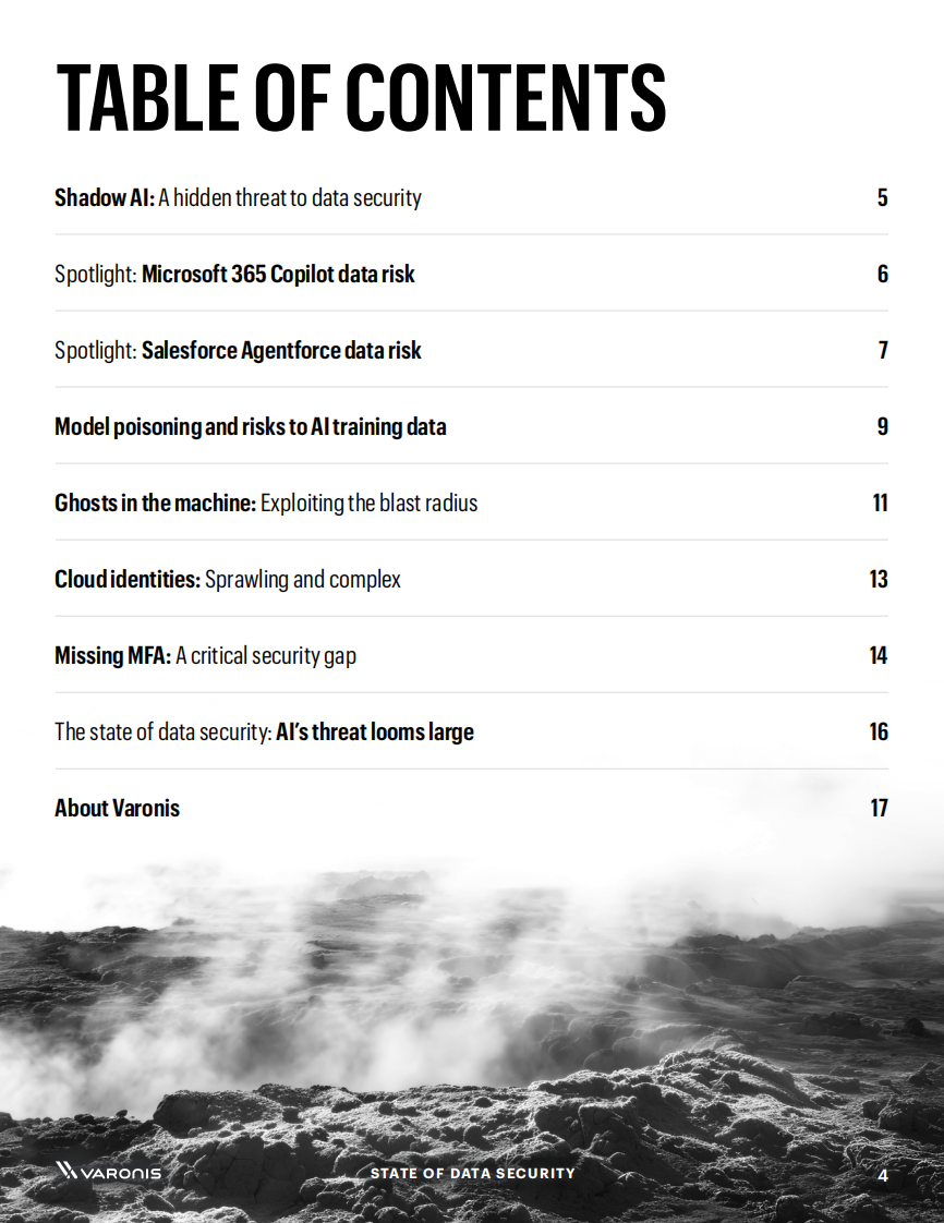 2025年数据安全状况报告：量化人工智能对数据风险的影响（英文） 第4页