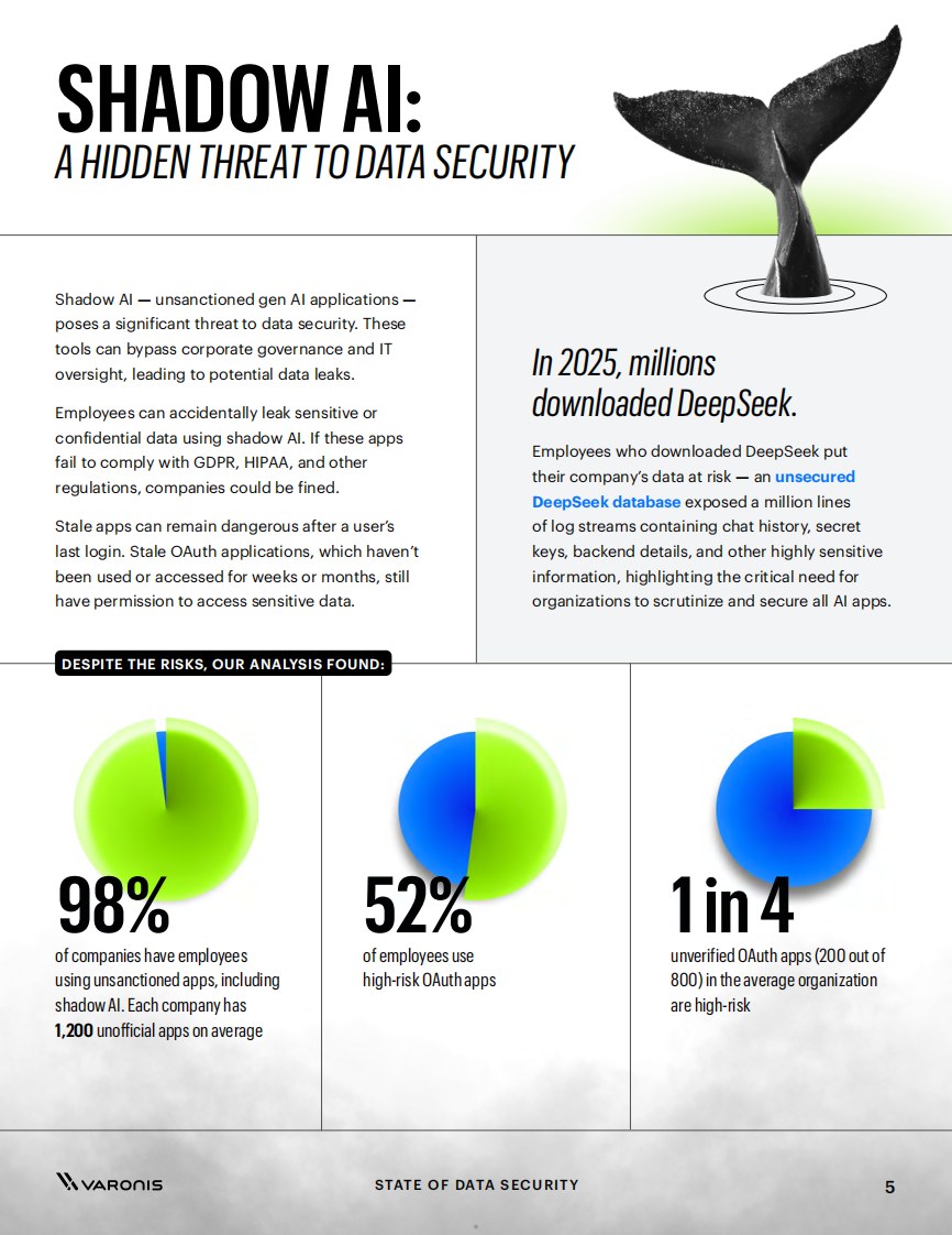 2025年数据安全状况报告：量化人工智能对数据风险的影响（英文） 第5页