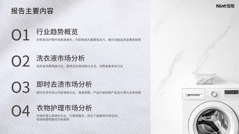 2025年衣物清洁护理行业报告 第2页