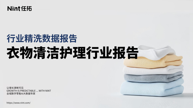 2025年衣物清洁护理行业报告 第1页