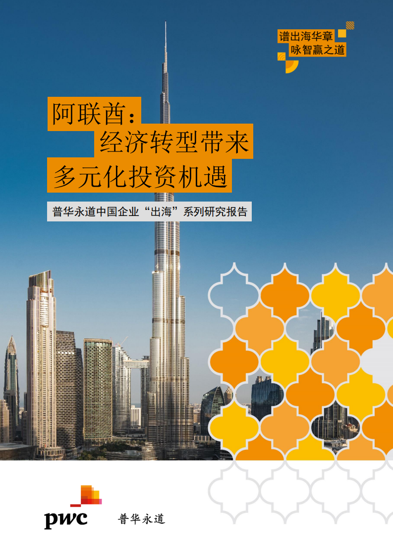 2025中国企业出海系列研究报告-阿联酋经济转型带来多元化投资机遇 第1页