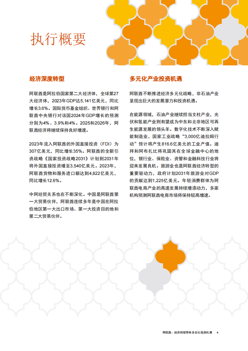 2025中国企业出海系列研究报告-阿联酋经济转型带来多元化投资机遇 第5页