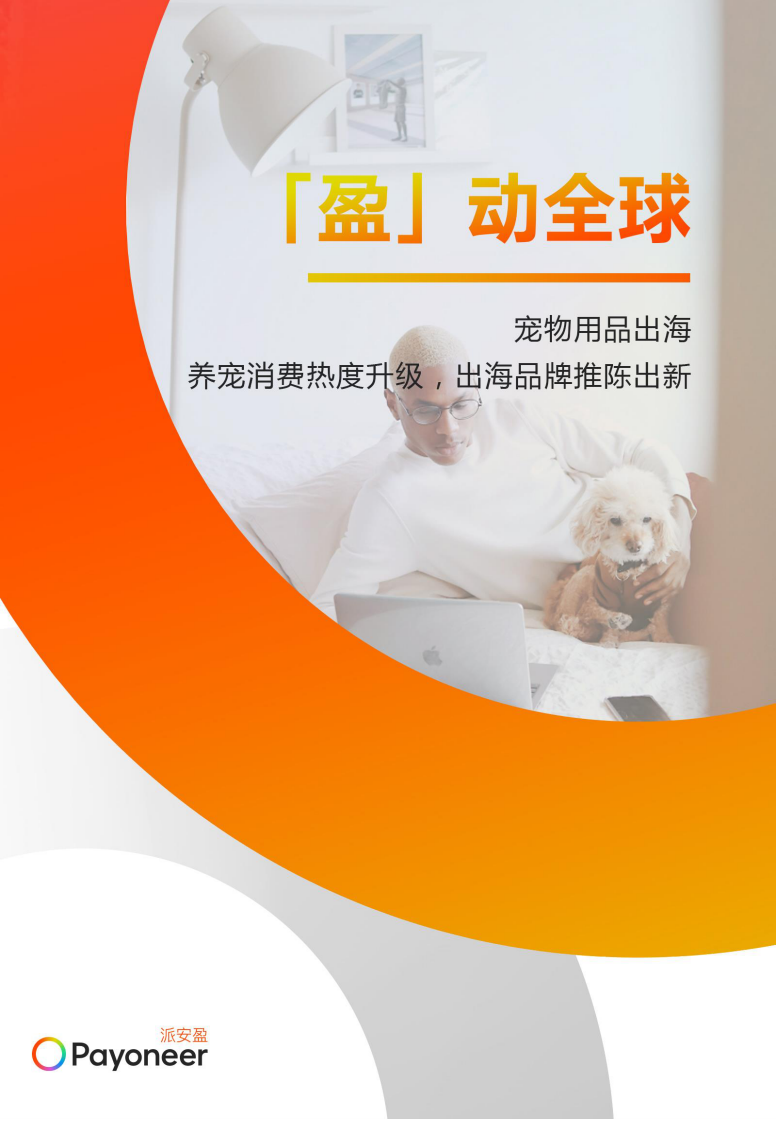 2025年盈动全球-宠物用品家具家居独立站出海白皮书 第3页