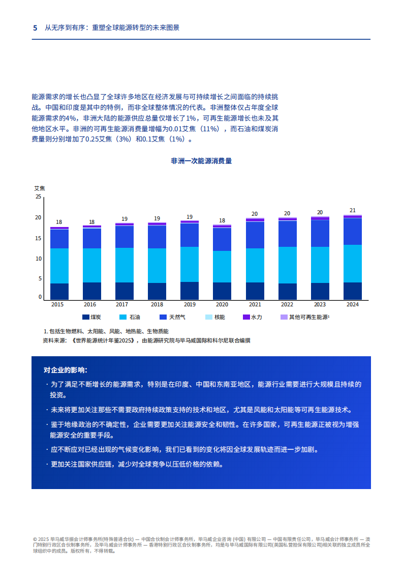 2025年从无序到有序：重塑全球能源转型的未来图景报告 第5页