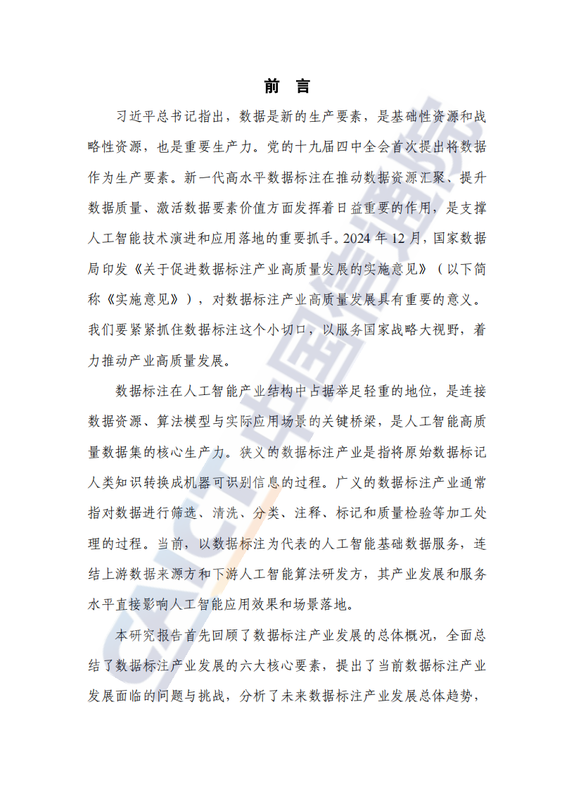数据标注产业发展研究报告（2025年） 第3页