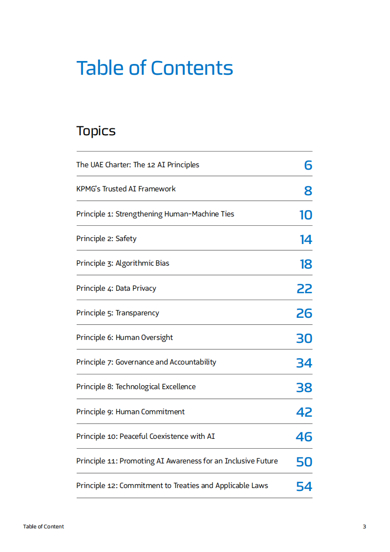 2025人工智能治理的未来：阿联酋宪章和全球视野（英） 第3页