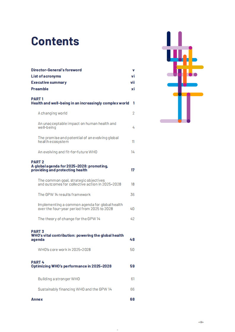 2025-2028年全球卫生战略：在动荡的世界中加强公平和抵御能力报告（英文） 第5页