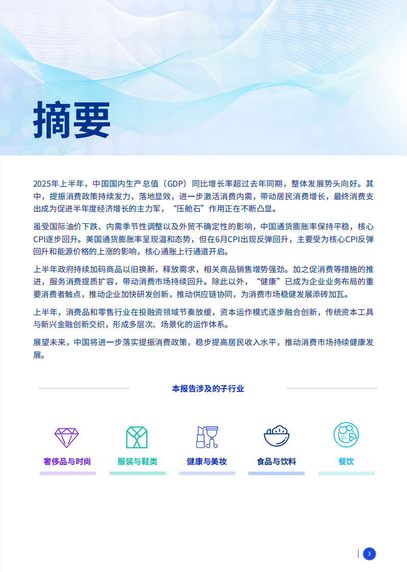 2025年上半年消费品零售行业分析 第3页