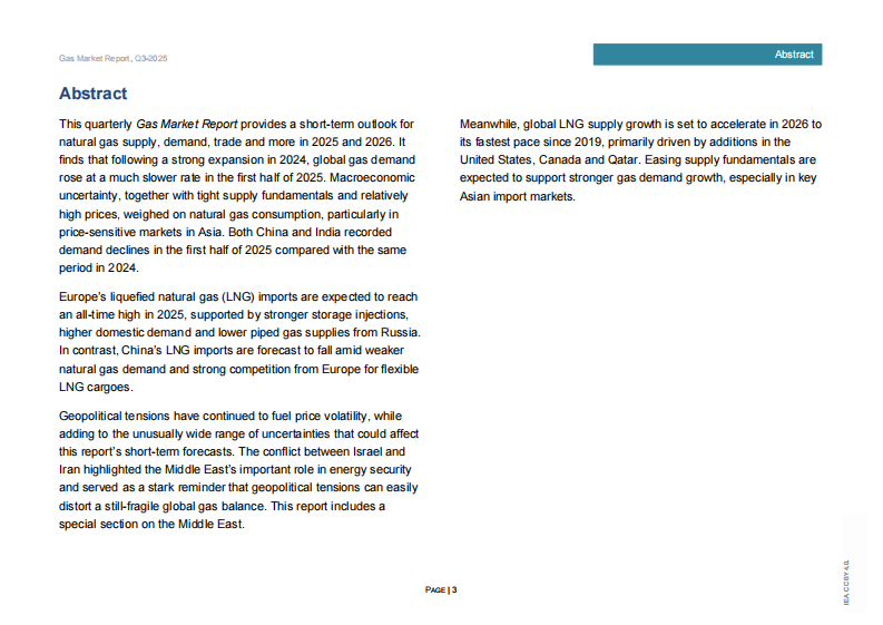 2025年第三季度天然气市场报告（英文） 第3页