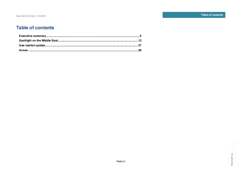 2025年第三季度天然气市场报告（英文） 第4页