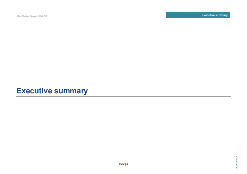 2025年第三季度天然气市场报告（英文） 第5页