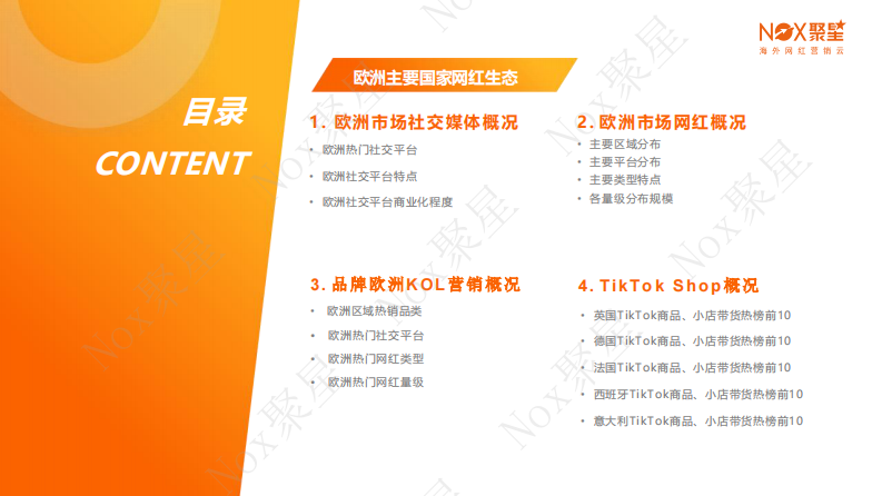 2025年欧洲网红营销生态报告 第5页