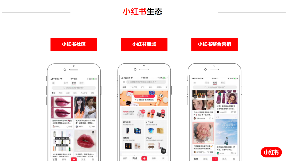 美妆品牌德宜芙小红书方案 第5页