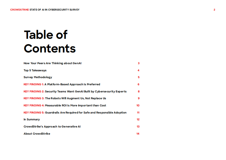 2024网络安全领域AI状况调研报告：基于对1000多名网络安全专业人士的调研（英文） 第2页
