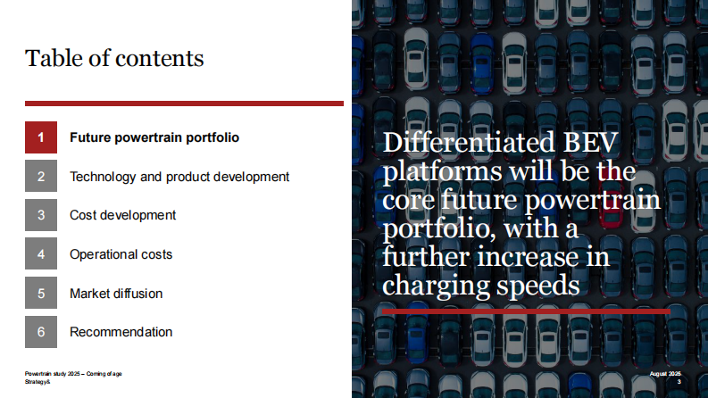 2025年动力系统研究报告：走向成熟：电动交通转型的下一阶段（英文） 第3页
