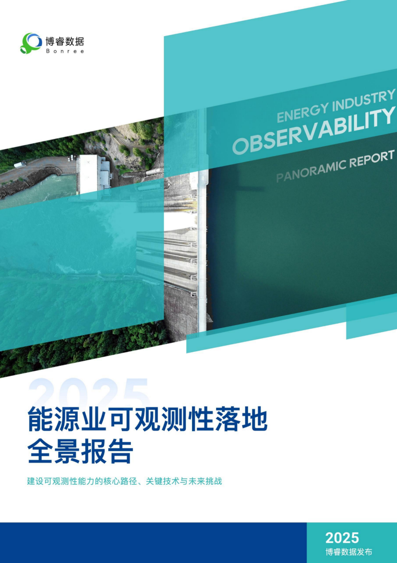 2025年能源行业可观测性落地全景报告 第1页